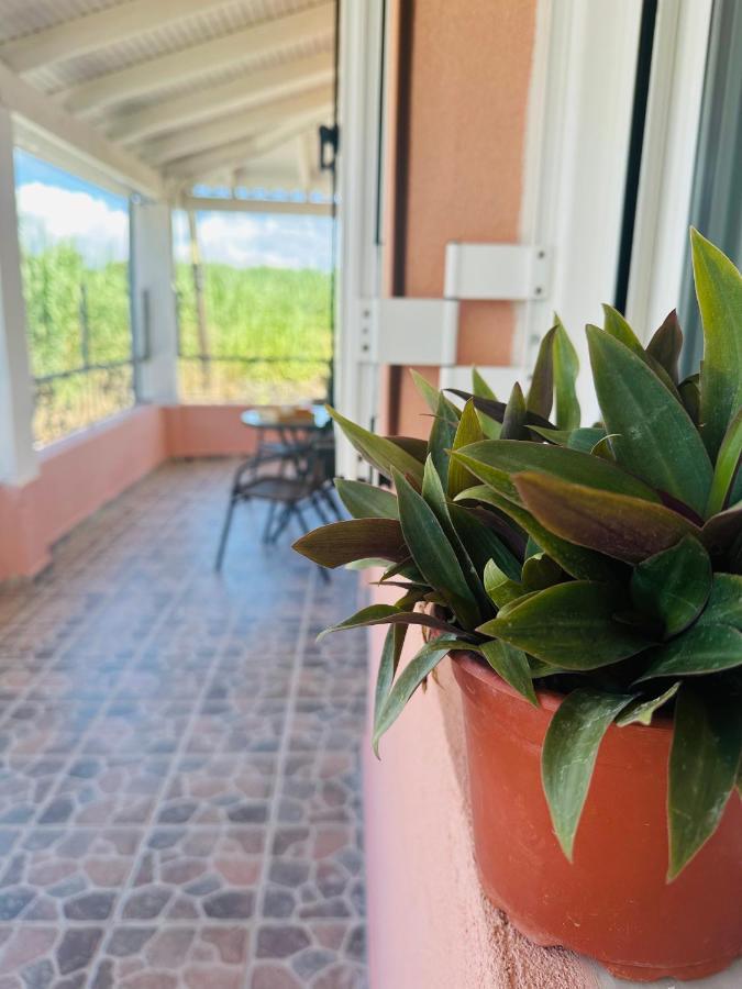 Venetian Gem Central Corfu Retreat Κανόνι Εξωτερικό φωτογραφία